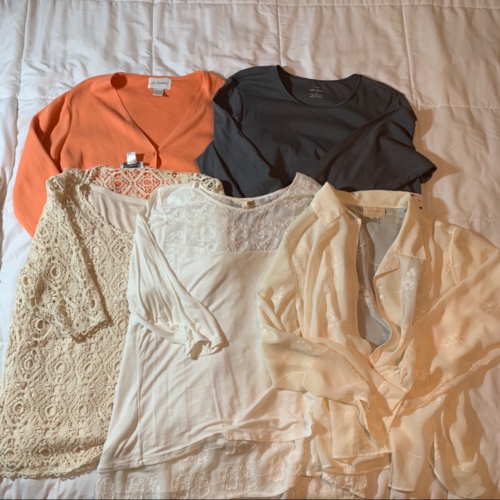 Lot of 5 Women’s XL Tops Adiva, CJ Banks, Voir